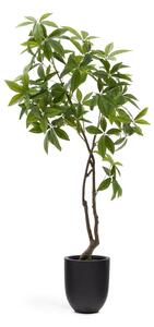 Umetna rastlina (višina 180 cm) Pachira – Kave Home