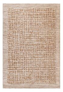 Bež preproga 120x160 cm Anders Beige Natural – Asiatic Carpets