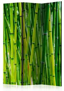Artgeist Paravan Bamboo Forest, 3-Delni, Enostranski