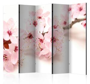 Artgeist Paravan Cherry Blossom I, 5-Delni, Enostranski