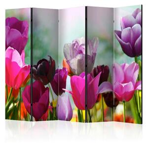 Artgeist Paravan Beautiful Tulips I, 5-Delni, Dvostranski