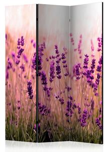 Artgeist Paravan Lavender In The Rain, 3-Delni, Dvostranski