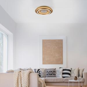 JUST LIGHT. GmbH LED-stropna svetilka Cichio, mat zlata, železo, 3.000 K, Zlata / medeninasta, Dnevna soba / jedilnica, Kovina, Sodobni