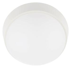 LED Zunanja stropna svetilka LED/12W/230V IP65 bela