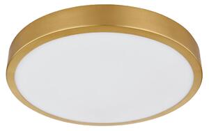 STROPNA LED-SVETILKA Tibey 3000 K 230 V