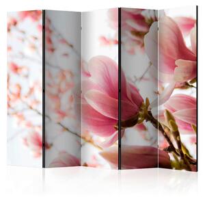PARAVAN 225/172/3 cm bela, pink
