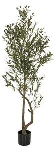 MID.YOU Umetna Rastlina Olive I