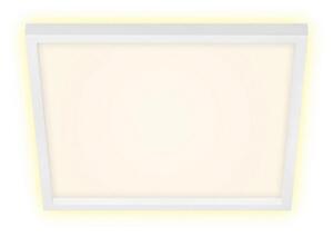 Briloner 7364-016 - LED Stropna svetilka CADRE LED/22W/230V 42,2x42,2 cm bela