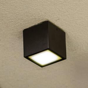 LUTEC Zunanja stropna LED-svetilka GEMINI, temno siva, 9 x cm, IP65, Siva, Aluminij, Sodobni