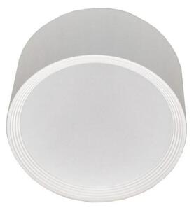 LED Kopalniška stropna svetilka PERCI LED/30W/230V IP40 2700K bela