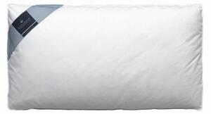 ANATOMSKI VZGLAVNIK DAUNALEX 40/80 cm