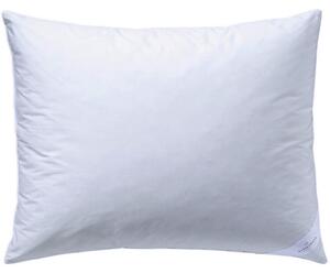 VZGLAVNIK S03 SALE 60/80 cm