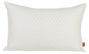 OKRASNA BLAZINA BENJAMIN 40/60 cm