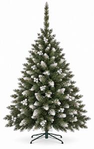JAKS Božično drevo smreka srebrna jerebica 150 cm