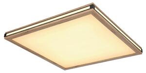 STROPNA LED-SVETILKA 3000 K 230 V