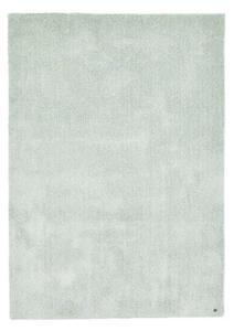 PREPROGA Z VISOKIM FLOROM Cozy 190/290 cm taftano metino zelena