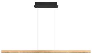 Globo Viseča Led-svetilka 17013h1g
