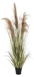 Umetna rastlina (višina 145 cm) Austorderia – Bizzotto