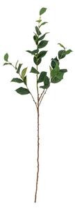 Umetni evkaliptus (višina 110 cm) Eucalyptus – Bloomingville