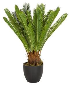 MID.YOU Umetna Rastlina Cycas