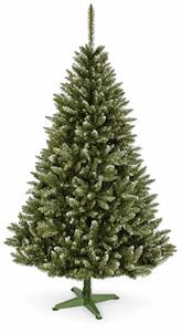 ShopJK Božično drevo smreka gorska 150 cm