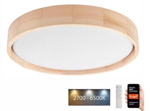 Brilagi - LED Stropna svetilka MANAROLA SMART LED/24W/230V + Daljinski upravljalnik Tuya