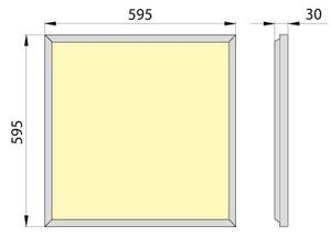 LED Vgradni panel OREGA PLUS 60 LED/40W/230V 4000K IP40