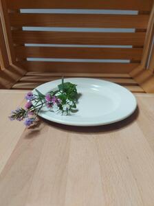 Krožnik emajliran fi24 cm
