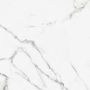 Granitogresne ploščice Silk Marble (61 x 61 cm, Siva, Svilnati sijaj)