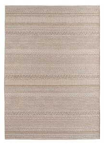 Bež notranja in zunanja preproga 80x150 cm Desert 1303 – Ayyildiz Carpets