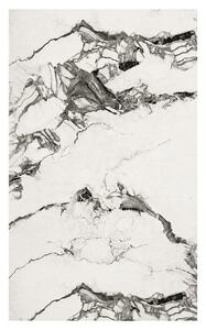 Panelna plošča Calacatta Folden (122 x 260 cm, Marmorno siva)