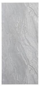 FibroTech Panelna plošča (100 x 260 cm, Siva)