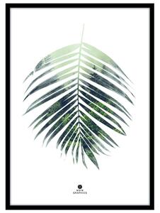 Plakat z okvirjem 50x70 cm Palm Leaf – Malerifabrikken