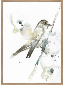 Slika 50x70 cm Bird 2 – Malerifabrikken
