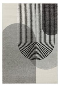 Siva preproga 230x160 cm Muse - Asiatic Carpets