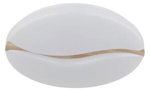 STROPNA LED-SVETILKA LETICIA 3000/6000/4200 K 230 V