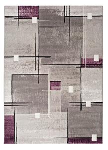 Sivo-vijolična preproga Universal Detroit, 200 x 290 cm