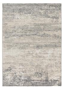 Siva/kremno bela preproga 133x190 cm Sensation – Universal