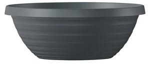 Scheurich Country Star Okrogel lonec za rastline Country star (Zunanje dimenzije (Ø x V): 29 x 11,1 cm, Plastika, Metalik siva)
