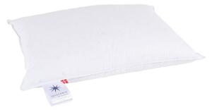 Vzglavnik s polnilom iz perja 50x70 cm Neptune High – Universe of Sleeping