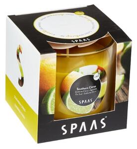 Dišeča sveča v kozarcu SOUTHERN CITRUS 8,5 cm rumena