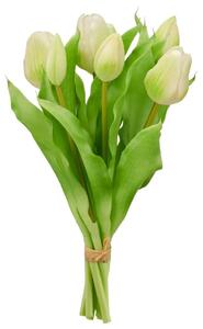 Mömax Tulipan Tulpenbund I