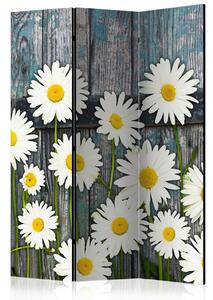 Artgeist Paravan Daisies, Dvostranski, 3-Delni