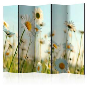 Artgeist Paravan Daisies I, 5-Delni, Dvostranski