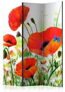 Artgeist Paravan Country Poppies, Dvostranski, 3-Delni