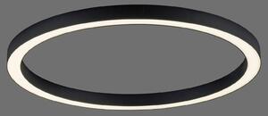 PURE LED stropna svetilka Lines, Ø 70 cm, antracit, CCT, daljinski upravljalnik, zatemnjen, Črna, Dnevna soba / jedilnica, Kovina, Sodobni