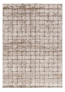 Sivo-bež preproga 80x120 cm Ceres – Universal