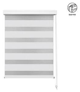 DVOJNI ROLO pol prosojno 120/160 cm
