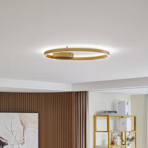 Lucande Smart LED stropna svetilka Moise, zlata, CCT, Tuya, zatemnjen, Zlata / medeninasta, Dnevna soba / jedilnica, Aluminij, Sodobni