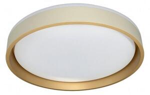 STROPNA LED-SVETILKA 3000-4000-6500 K